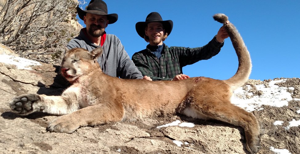 NEW MEXICO PROFESSIONAL BIG GAME HUNTING Updated June 2024 10