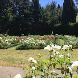 Glen Derwent Heritage Retreat - The rose garden.