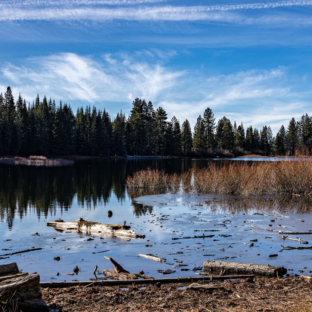 Manzanita Lake loop - Manzanita Lake - Lassen Volcanic National Park - Hiking Near Me