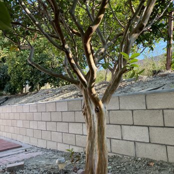 Cervantes Masonry - A 3 ft. retaining wall - Masonry/Concrete Near Me Cervantes Masonry - A 3 ft. retaining wall - Masonry/Concrete Near Me