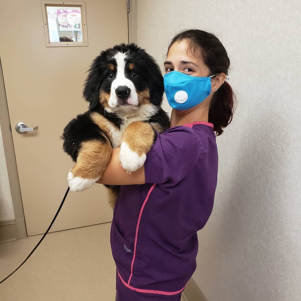 MEISELS ANIMAL HOSPITAL Updated October 2024 23 Photos & 28 Reviews