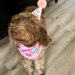 LUCY LUVS HER DAYCARE She just turned 1 this was her bday outfit. This is a great place and she luvs going. They are very good to her! LUCY LUVS HER DAYCARE She just turned 1 this was her bday outfit. This is a great place and she luvs going. They are very good to her!