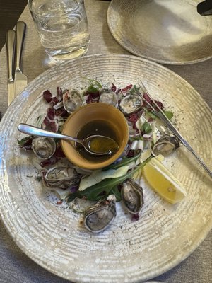 Osteria alle Testiere by null