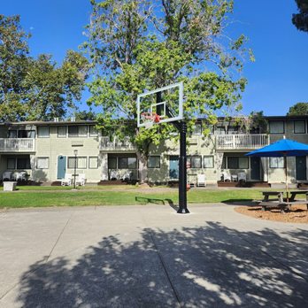 Best Western Corte Madera Inn - Hotels Near Me - Corte Madera, California