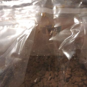 PetSmart - Maggots in my new dog food never opened and not expired!!! - Pet Training Near Me - N Las Vegas, Nevada