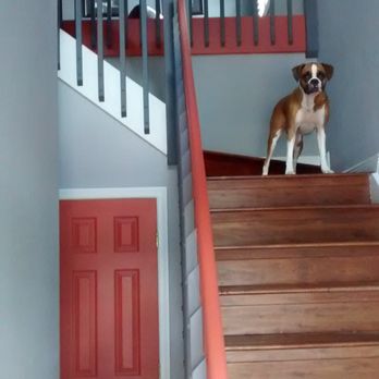 Jimmy T's Painting Services - Modern industrial look with boxer - Painters Near Me Jimmy T's Painting Services - Modern industrial look with boxer - Painters Near Me