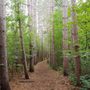 Photo of Osceola-Chisago Loop Trailhead