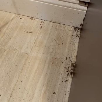 RentProv Realty - Cockroaches in the kitchen. - The image shows dirt and debris accumulated along the base of a white cabinet and on the light-colored tiled floor. The dirt is concentrated near the corner where the cabinet meets the floor, indicating possible neglect or a need for cleaning. - Real Estate Services Near Me - Providence, Rhode Island