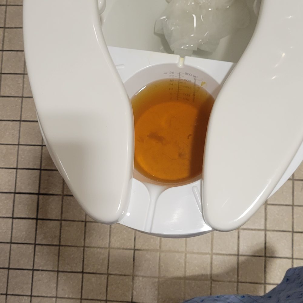 Urine Hat For Toilet Walgreens informacionpublica.svet.gob.gt