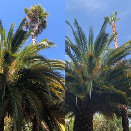 Before (L) and After (R)