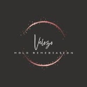 Velozo Mold Remediation - mold inspector in San Jose, CA