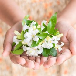 Lexington Acupuncture for Women - Experience all natural, holistic women's health