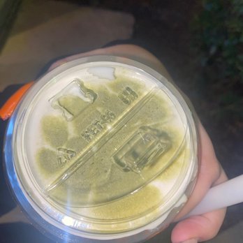 Daboba - Bear paw cute details - Bubble Tea Near Me - Santee, California Daboba - Bear paw cute details - Bubble Tea Near Me - Santee, California