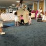 Photo of Music For the Young Child