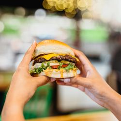 Wahlburgers