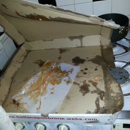 Pie Destroyed by Rain Storm...