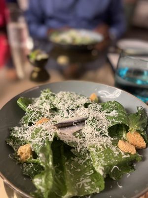 Knife & Spoon by null