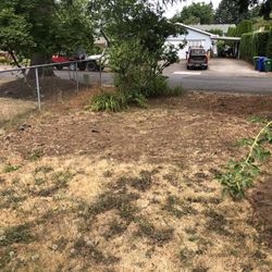 Affordable Arbor Care