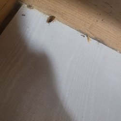 Freedom Vacation Rentals - Cockroach in the silverware drawer