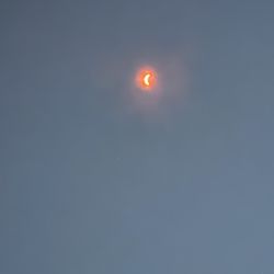 Mickey's Dog Park - Eclipse watch 2024