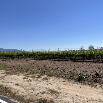 Wiens Cellars - Wine Tasting Room Near Me - Temecula, California Wiens Cellars - Wine Tasting Room Near Me - Temecula, California