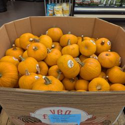 Sprouts Farmers Market - Pumpkins already!