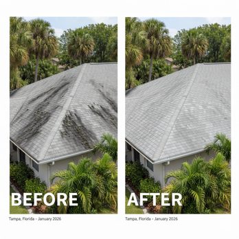 Roof Clean Pro - Pressure Washers Near Me Roof Clean Pro - Pressure Washers Near Me