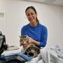 Photo of Maverick Veterinary Surgery Service
