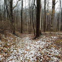 Bellevue Memorial Park