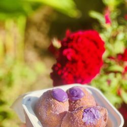 Sugar Beach Bake Shop - Ube Stuffed Malasadas
