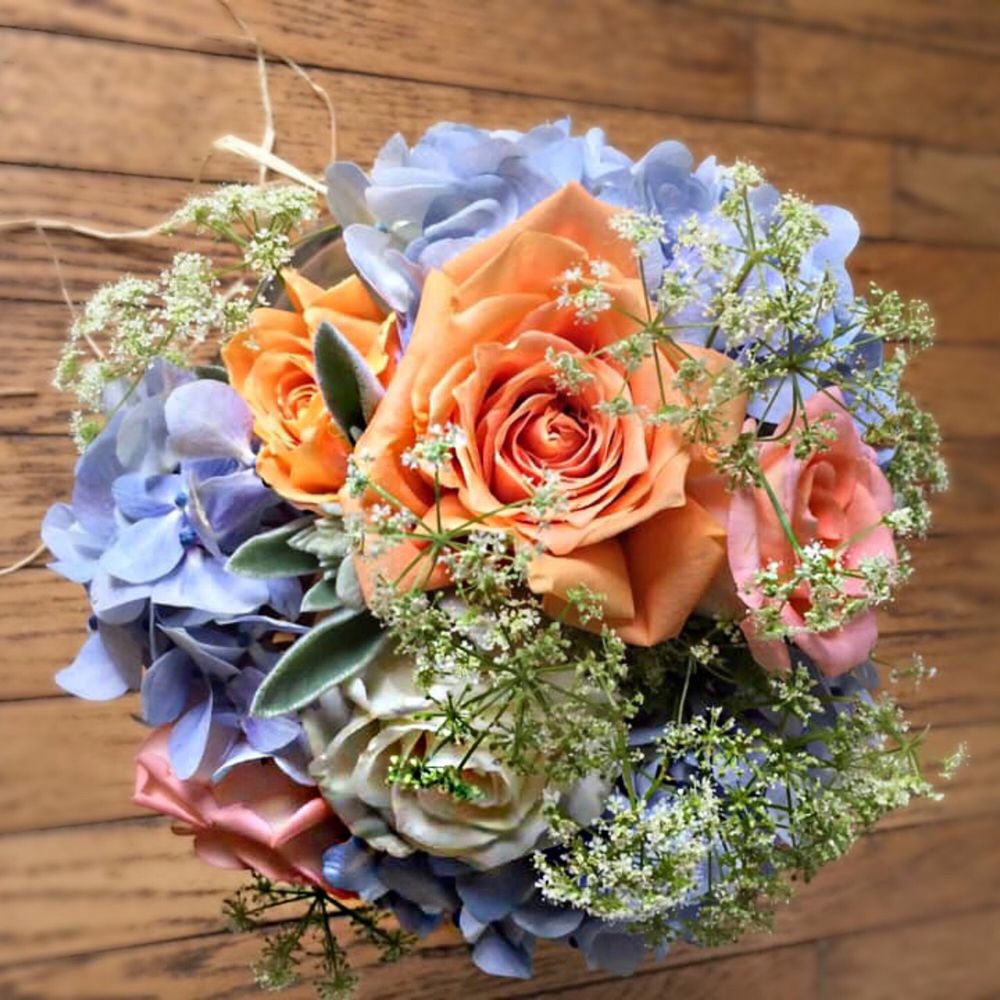 STEELE ORCHID Updated September 2024 West Chester, Pennsylvania