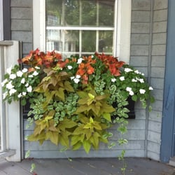 Fleuri - Summer windowbox