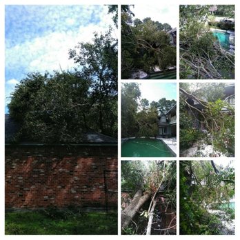 Vonner Family Tree Service - Emergency call tree fell on house. Pictures is from before we started - Tree Services Near Me Vonner Family Tree Service - Emergency call tree fell on house. Pictures is from before we started - Tree Services Near Me