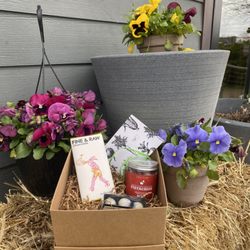 Main Course - Holiday gift box