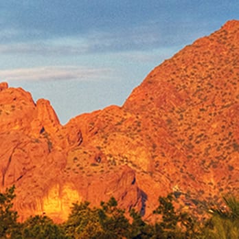 Camelback Designs - Web Design Near Me Camelback Designs - Web Design Near Me
