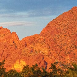 Camelback Designs
