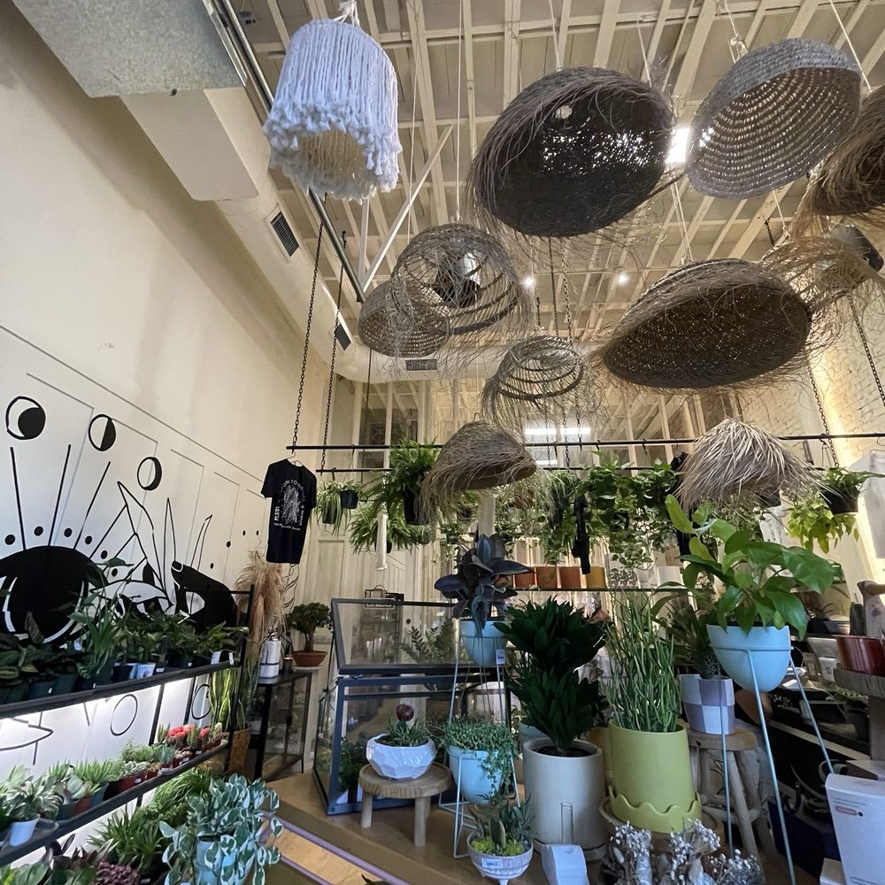 The Planting Hand - Nurseries & Gardening Near Me - Dallas, Texas The Planting Hand - Nurseries & Gardening Near Me - Dallas, Texas