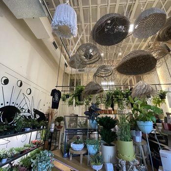 THE PLANTING HAND - Updated February 2026 - 14 Photos - 2010 Greenville