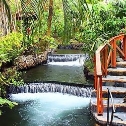 Time Travels - The hot springs from the Arenal Volcano flow through Tabacon Resort & Spa, Costa Rica