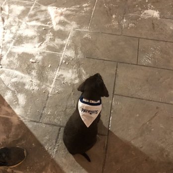 Mighty Squirrel Brewing - Patio and puppy - Breweries Near Me - Waltham, Massachusetts
