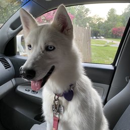 After Camille washed and groomed Nana!