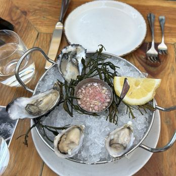 Foreign Cinema - Oysters - Breakfast & Brunch Near Me - San Francisco, California Foreign Cinema - Oysters - Breakfast & Brunch Near Me - San Francisco, California