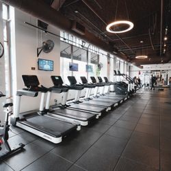 Live Fit Gym - Hayes Valley - Let's run together. Warm up, cool down, cardio, & more!