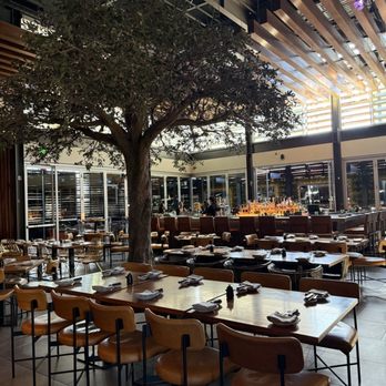 SumoMaya - Mexican Near Me - Scottsdale, Arizona SumoMaya - Mexican Near Me - Scottsdale, Arizona