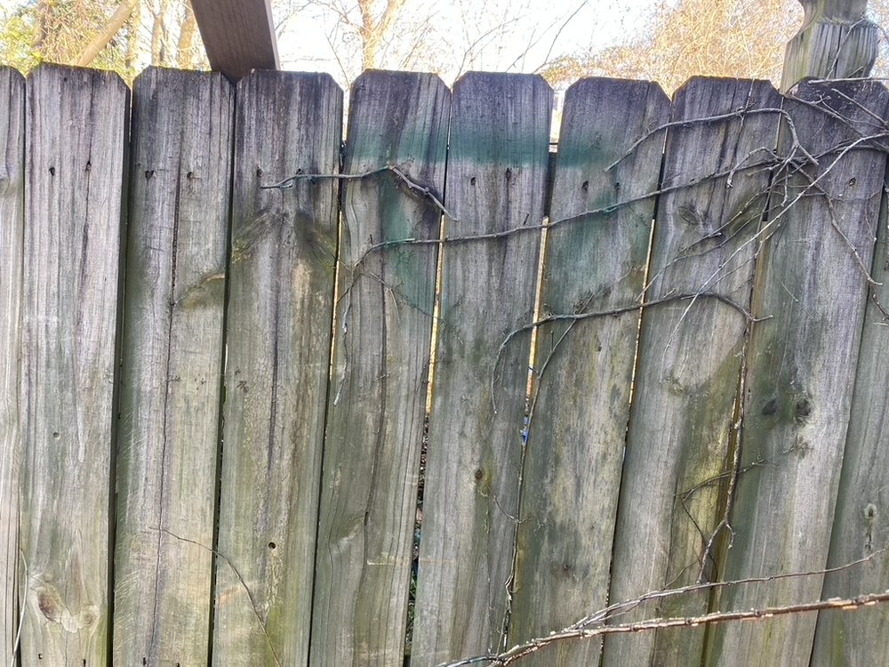 Slide of Southeastern Reconstruction