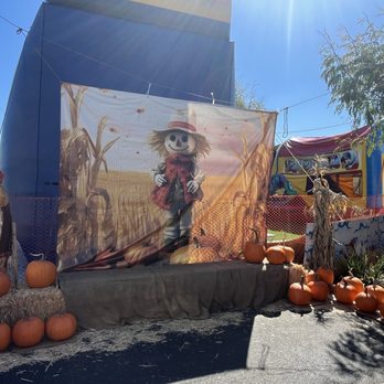 De La Pumpkins & Trees - For a very Instagram able moment - Pumpkin Patches Near Me - Downey, California
