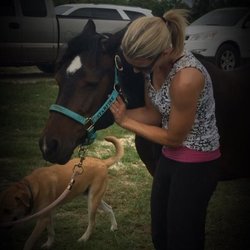 Hidden Branch Stables - The best chiropractic care in Central Texas.