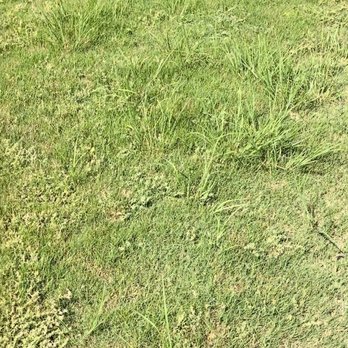 Unlimited Lawn Care - Lawn Services Near Me - Suwanee, Georgia Unlimited Lawn Care - Lawn Services Near Me - Suwanee, Georgia