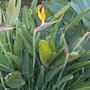 Photo of La Colina Gardens
