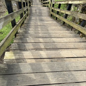 Hayden Falls Park - 48 stairs - Parks Near Me - Dublin, Ohio